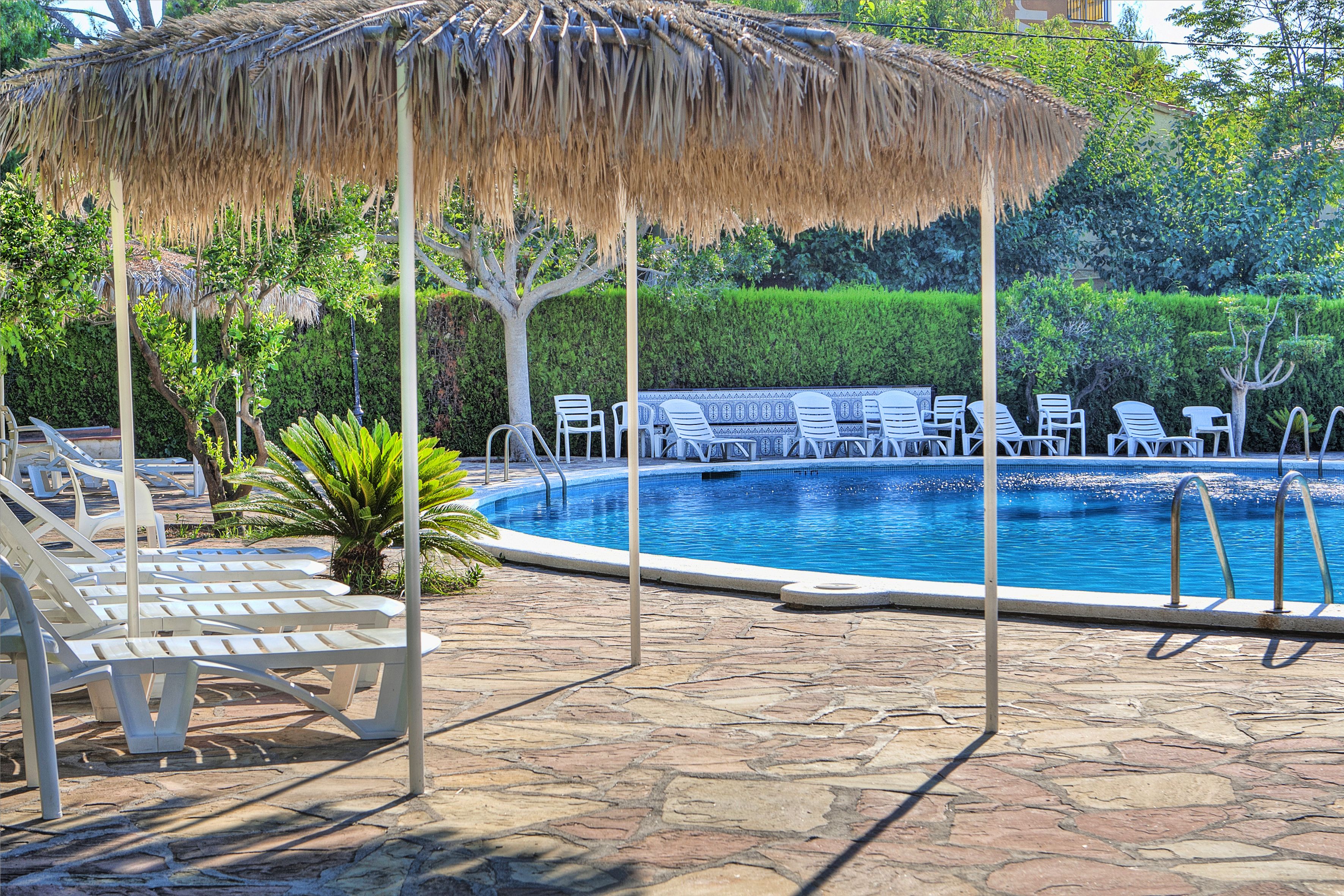 seasonal outdoor pool, pool umbrellas, pool loungers
