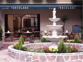 テラス / パティオ