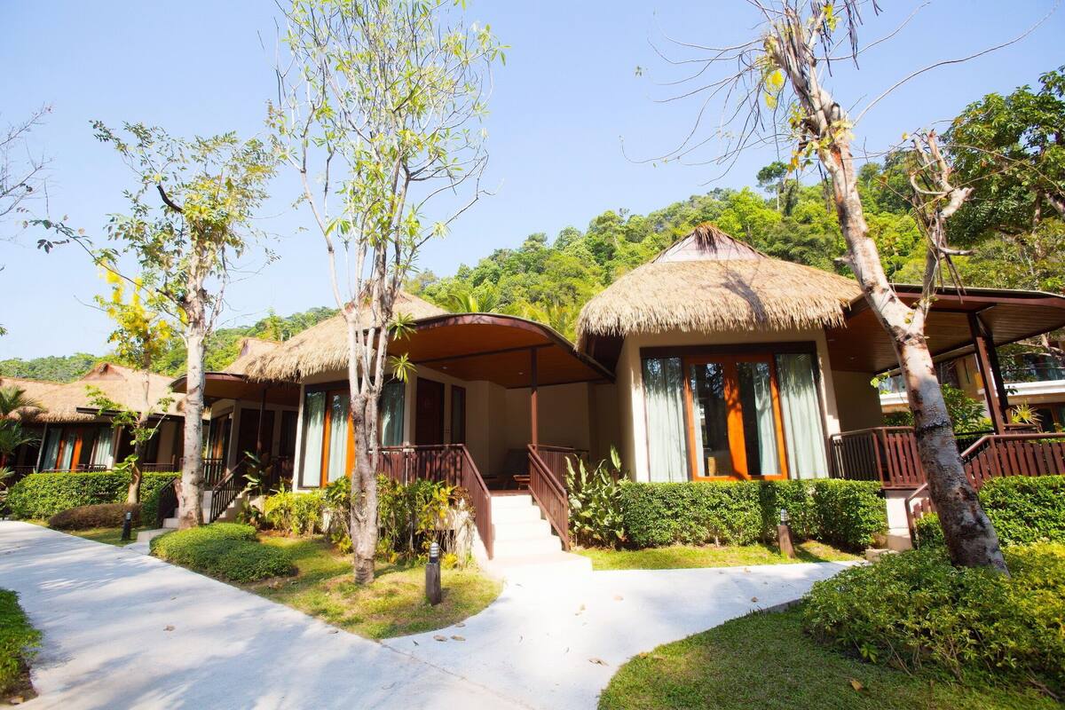 A resort with thatched-roof bungalows, a paved walkway, and lush greenery.