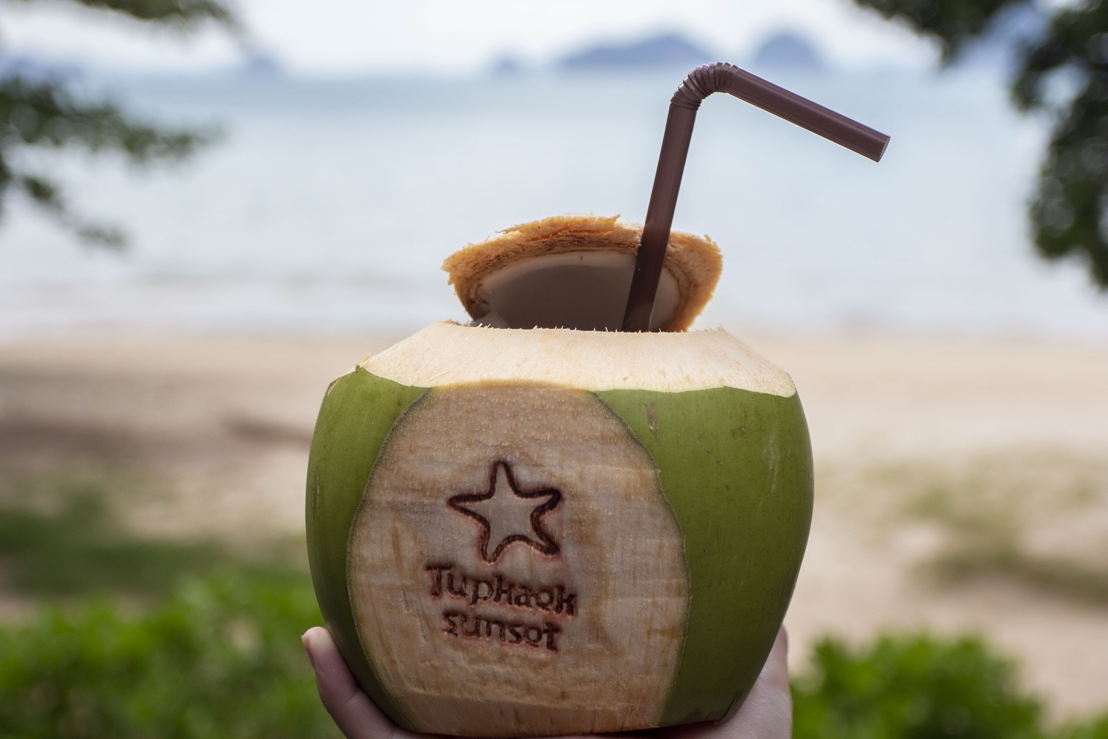Un coco con pajita y un diseño tallado, sostenido por una persona.