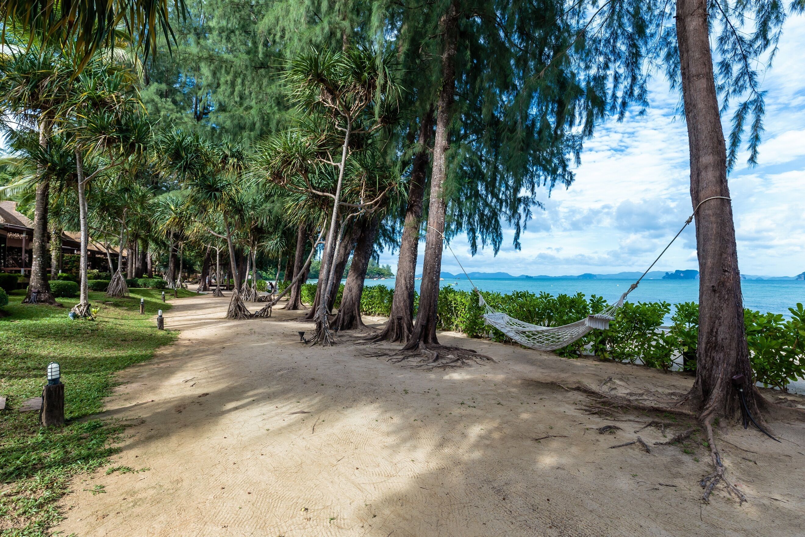 A sandy pathway lined with trees and a hammock, leading to a beach with a view of the sea.