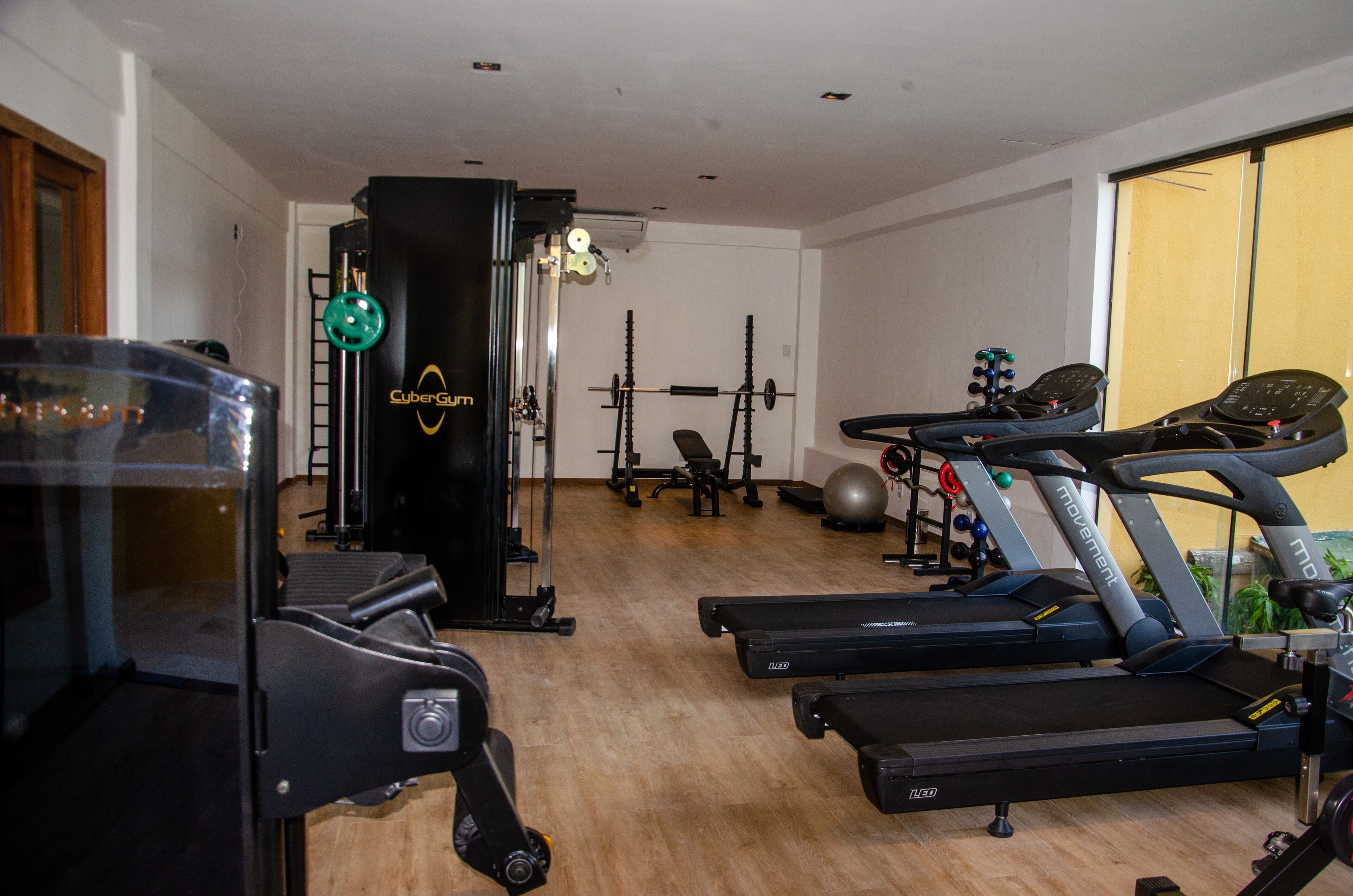 A home gym with treadmills, a weight bench, and various exercise equipment.