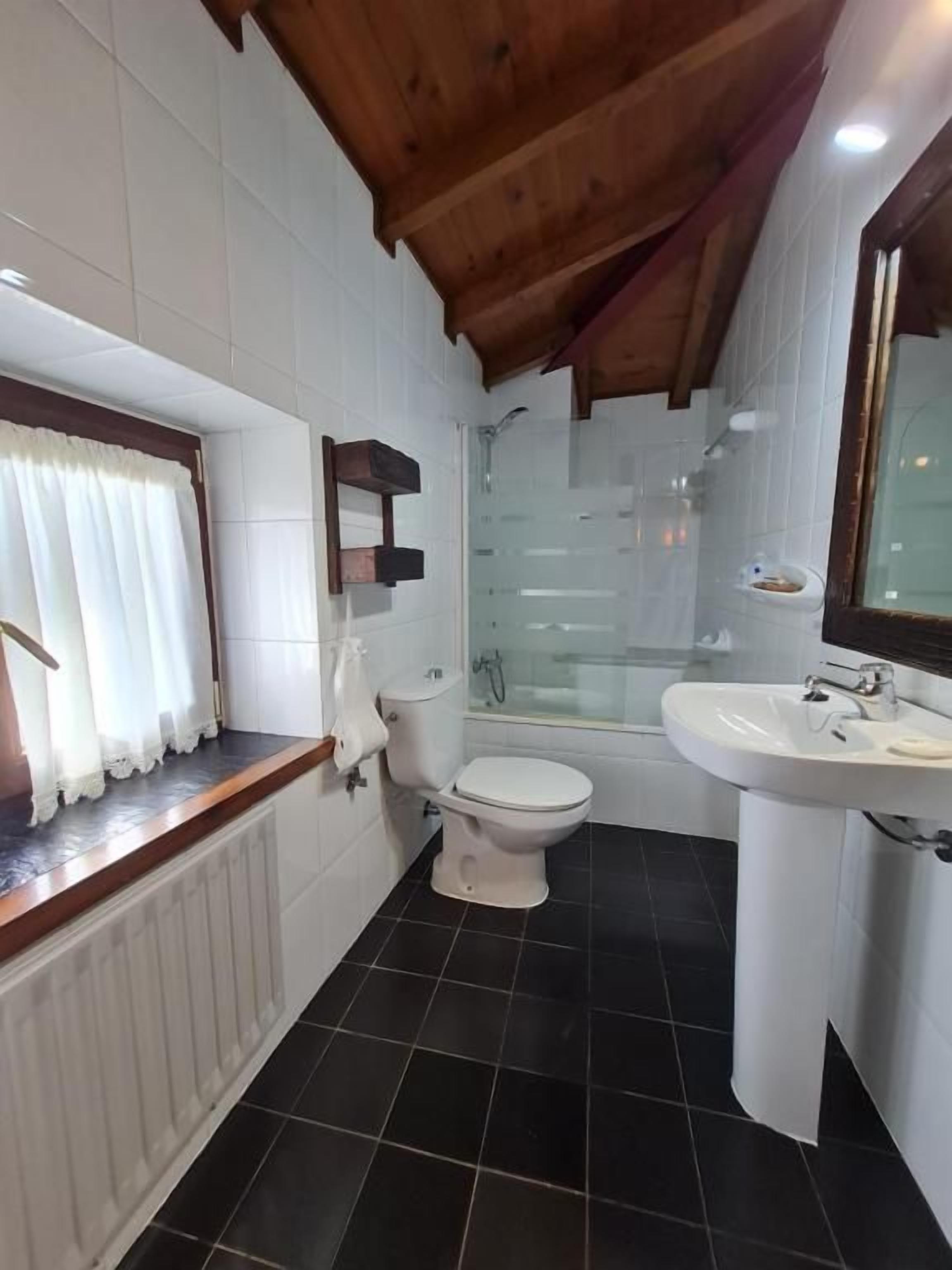 Une salle de bain avec des toilettes, une douche et un lavabo.