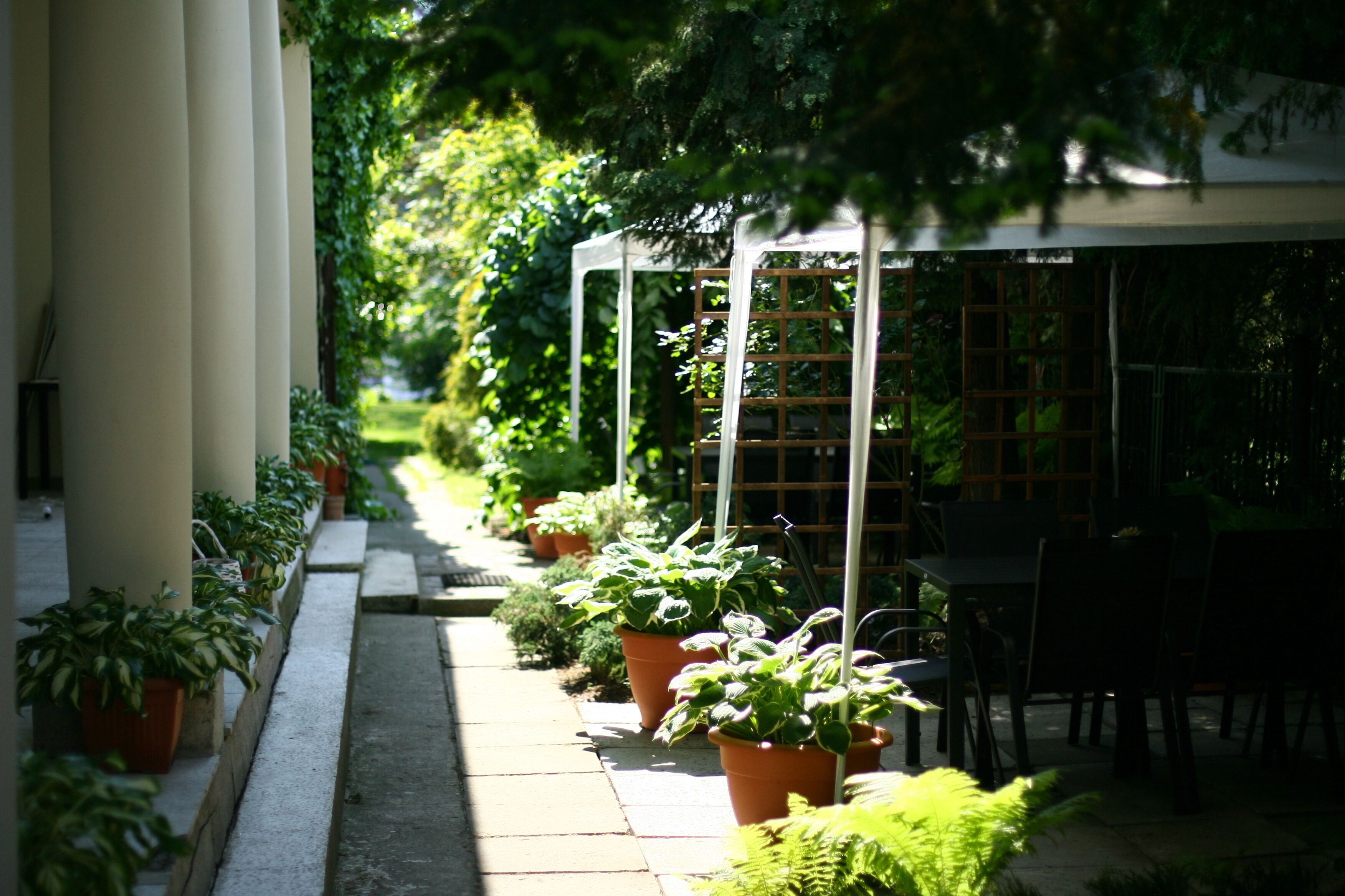 Foto - Miodosytnia Aparthotel