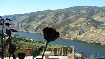 Vue depuis lâhĂ©bergement