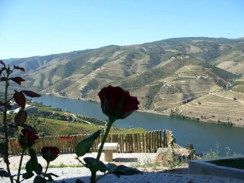 Quinta de Santo António de Adorigo