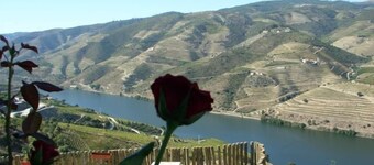 Quinta de Santo António de Adorigo