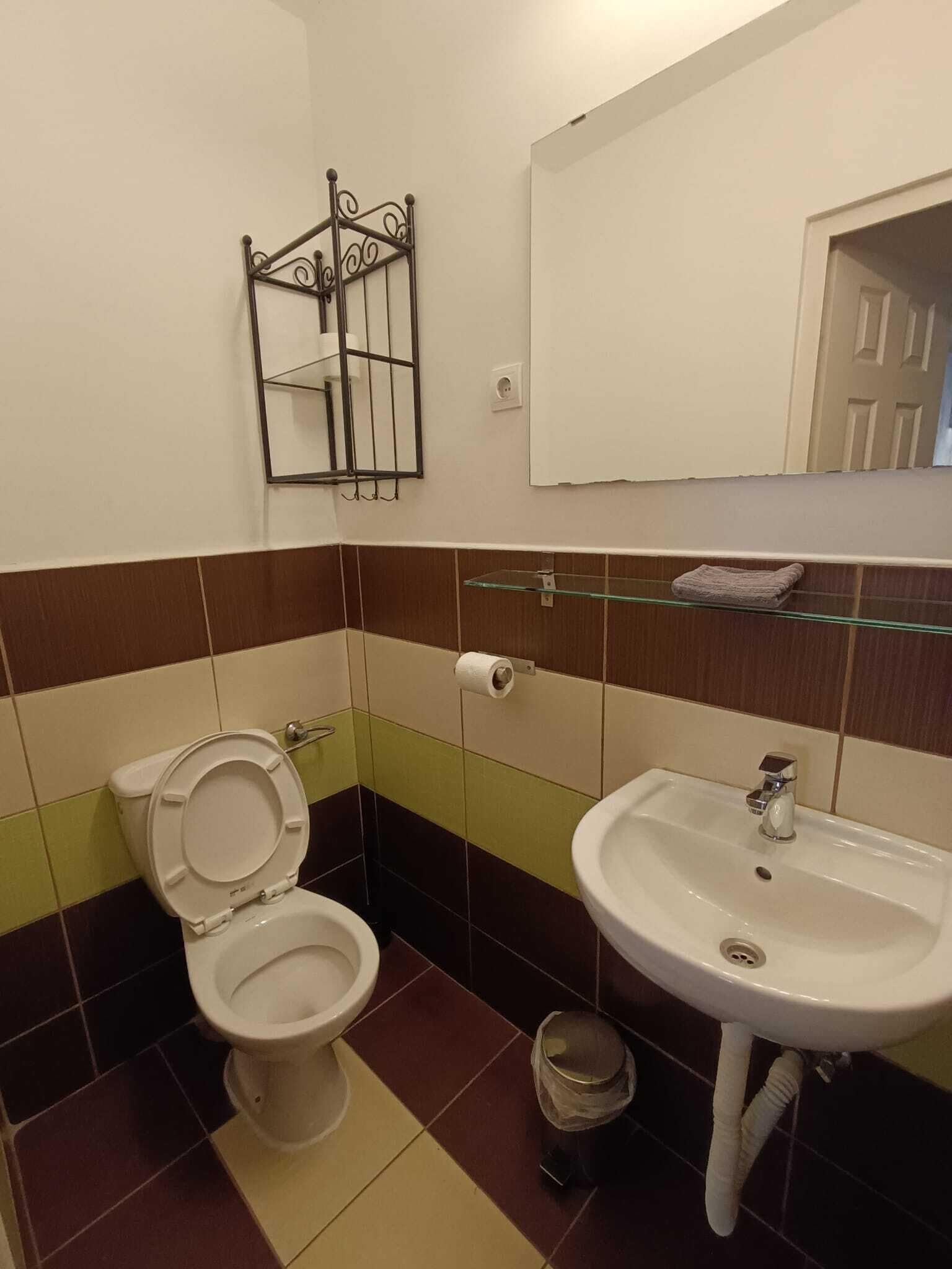 A bathroom with a toilet, sink, and mirror.
