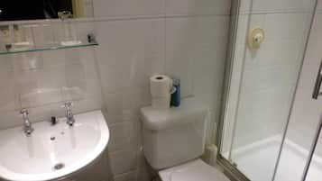 A bathroom with a sink, toilet, and glass shower enclosure.