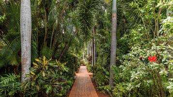 Blick auf den Garten