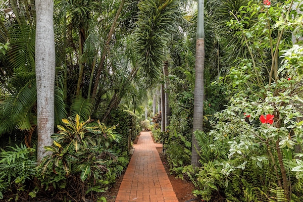 Garden view