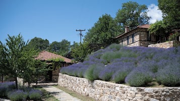 House for 2 guests | Terraza o patio