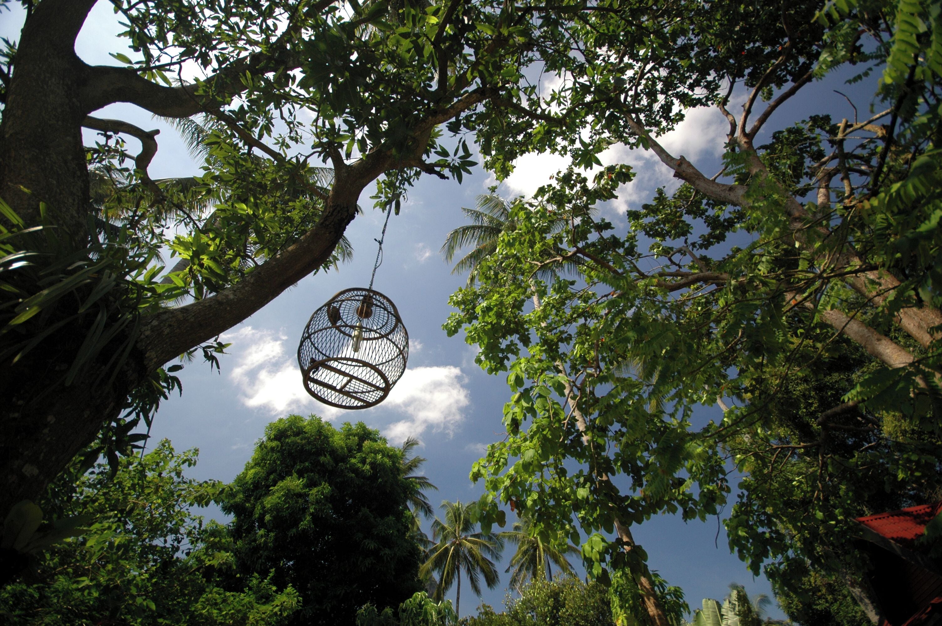 Foto - Sand Sea Resort Railay Beach