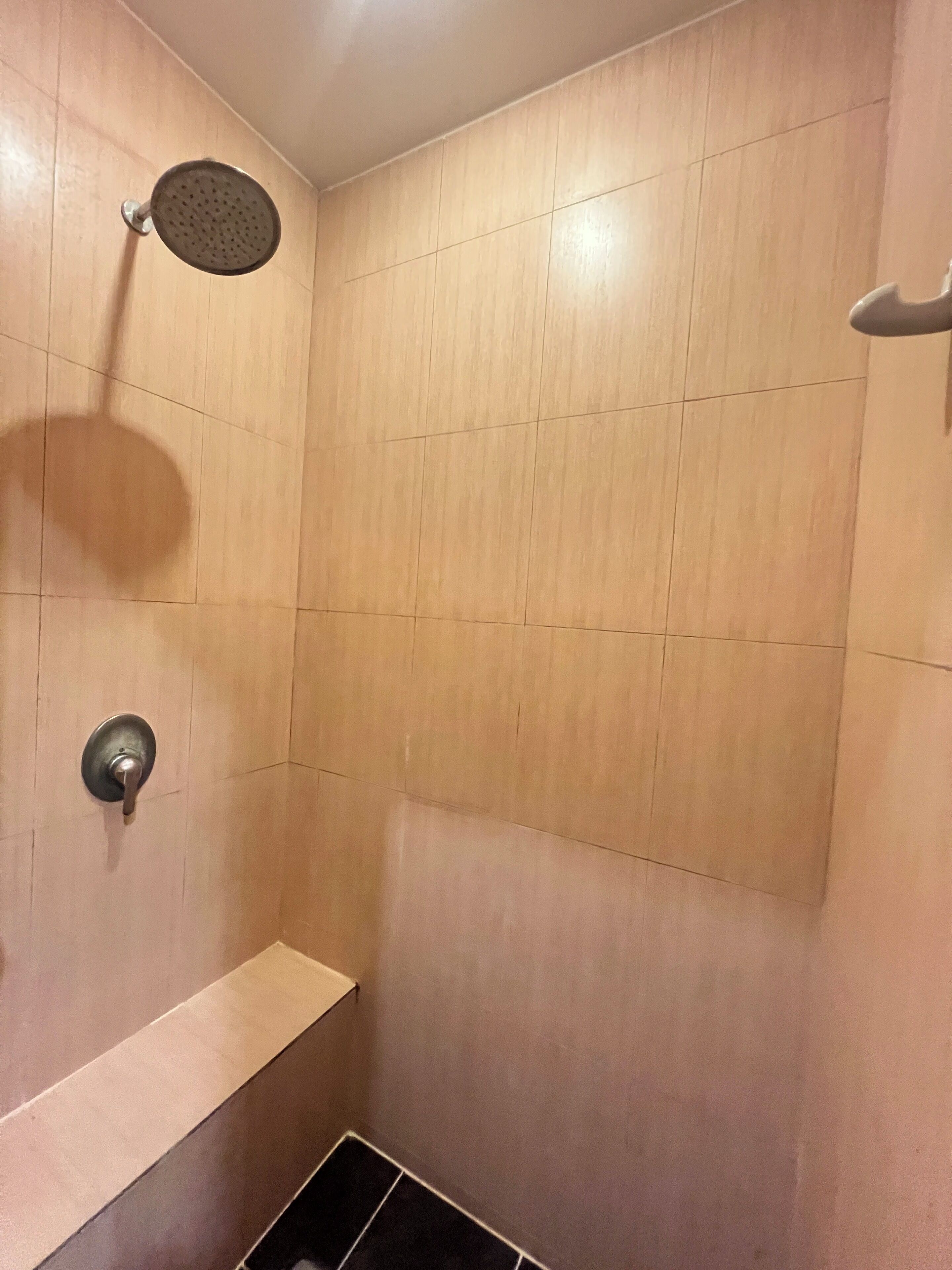 Una ducha con cabezal de ducha manual y cabezal de ducha de pared.