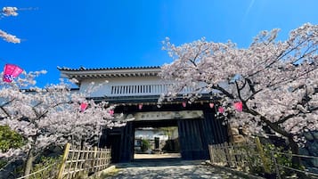 Un bâtiment traditionnel doté d’un porche, orné de fleurs de cerisier, et surplombé d’un ciel bleu azur.