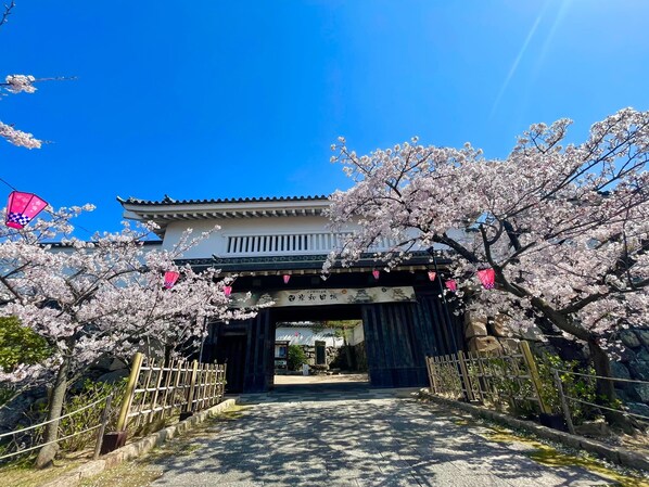 A traditional building with a covered entrance, cherry blossoms, and a clear blue sky.