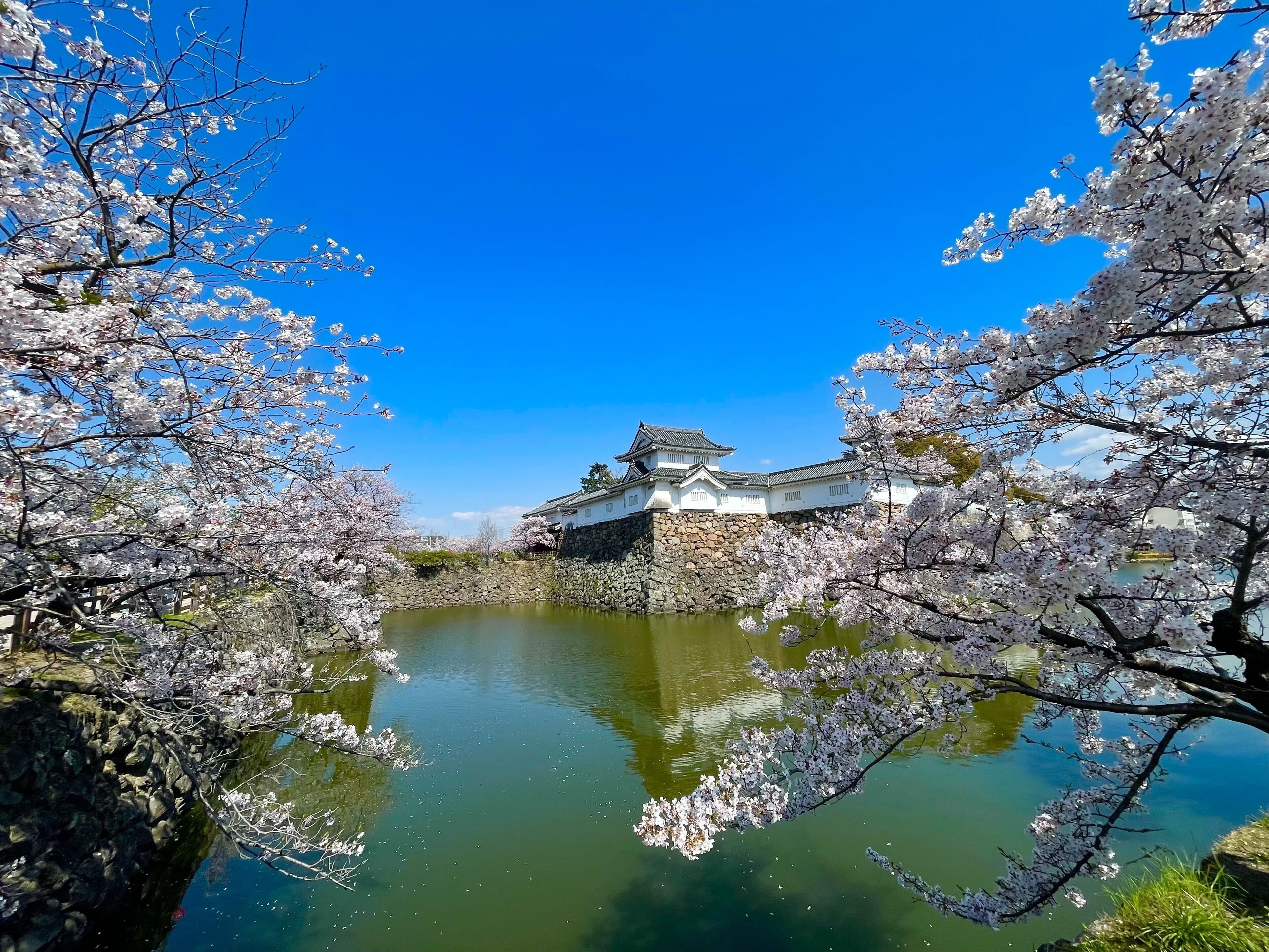 Foto - APA Hotel Kanku-Kishiwada