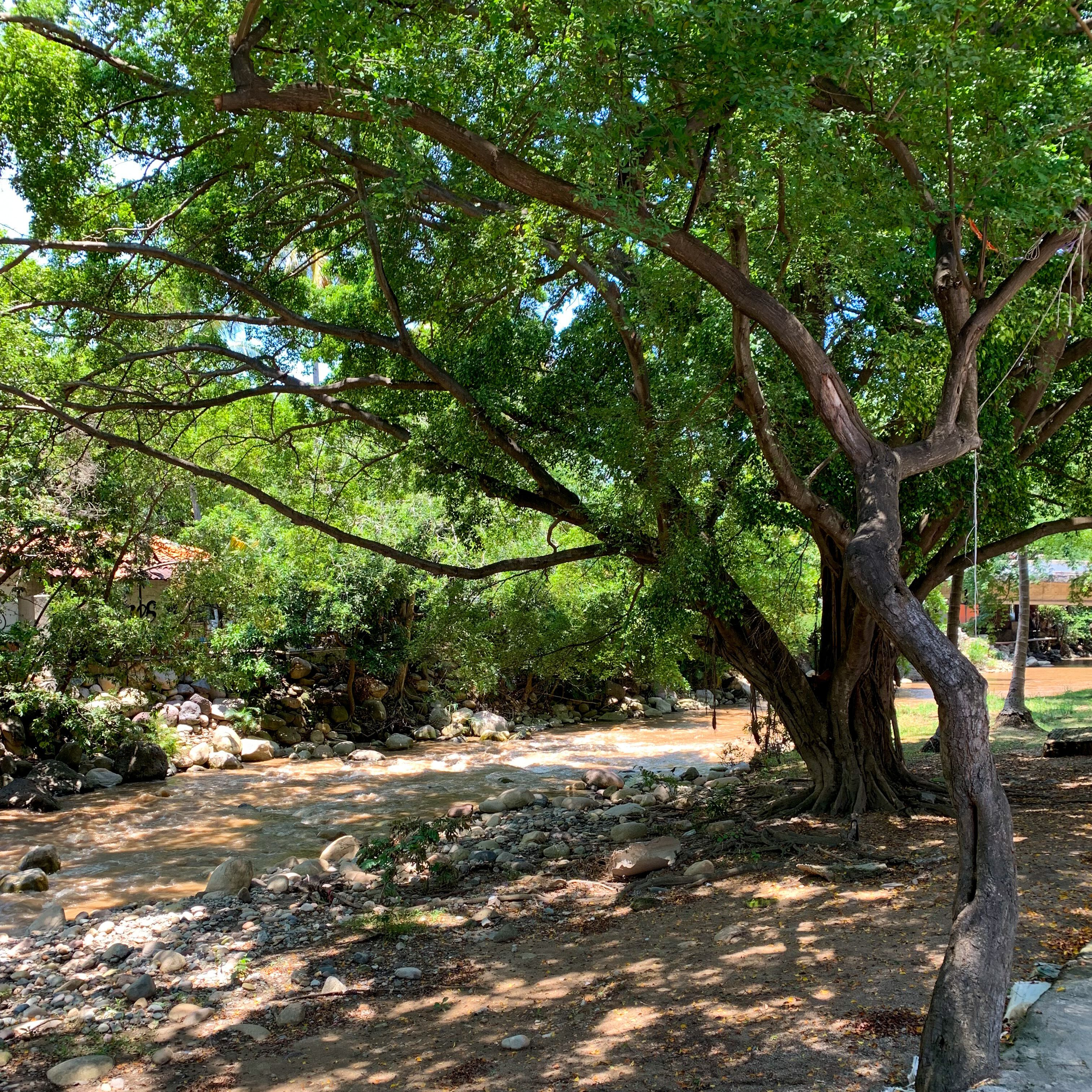 Foto - Suites Plaza del Rio - Family Hotel Malecón Centro