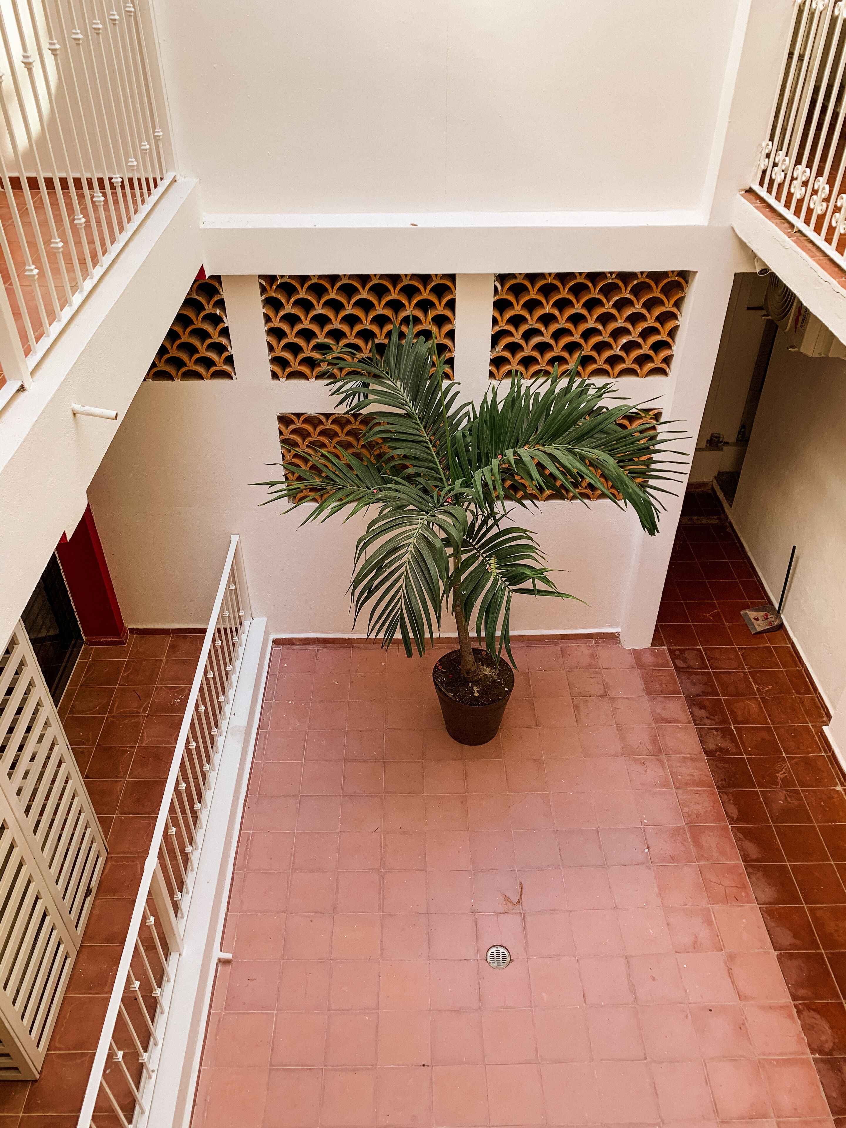 A potted palm tree in a courtyard with tiled flooring and white railings.