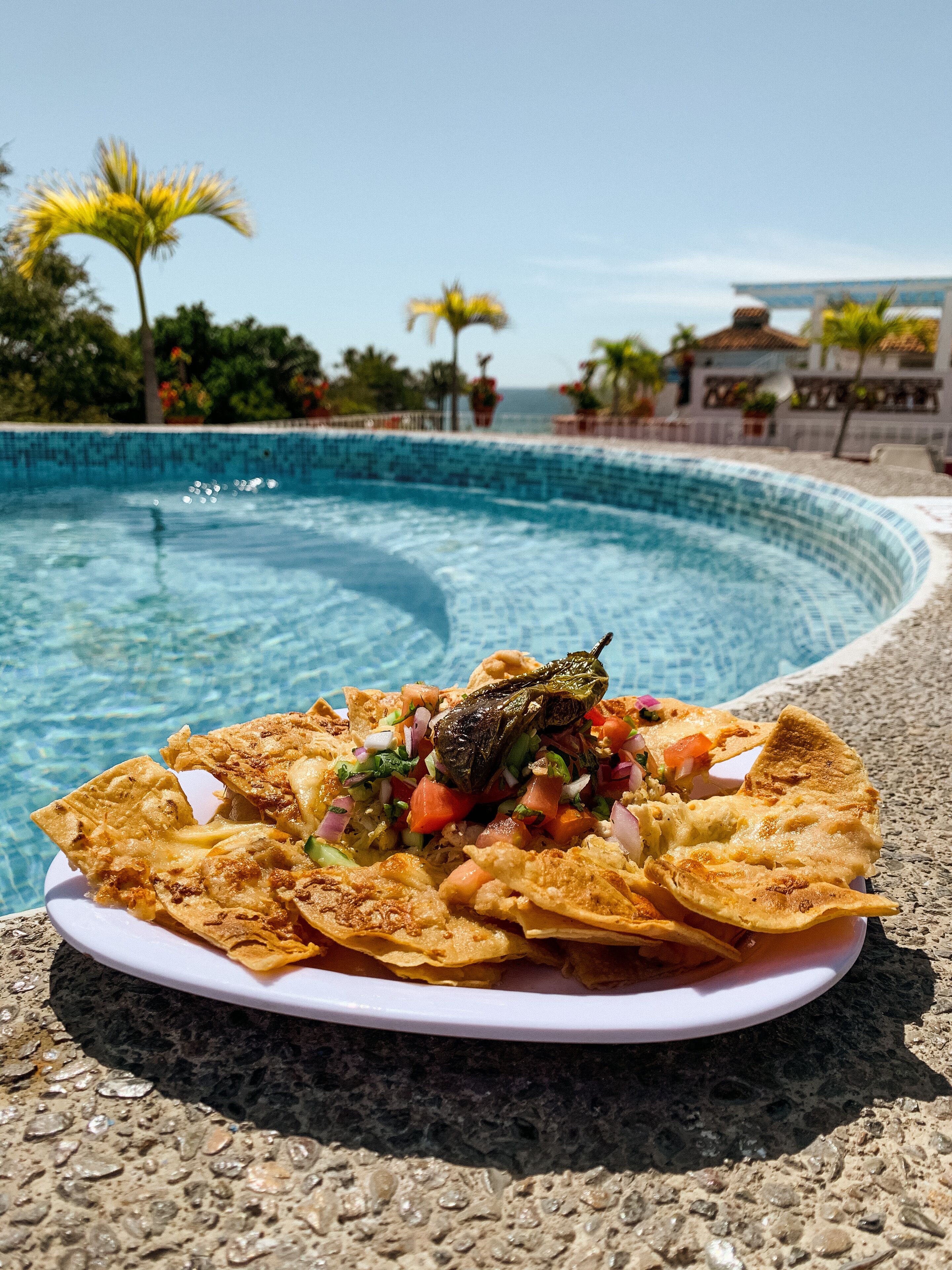 A plate of food with a grilled item and vegetables, placed on a stone surface near a pool with a clear view of the ocean and palm trees in the background.