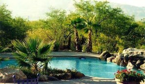 Outdoor pool, sun loungers - Cactus Cove (Tucson)