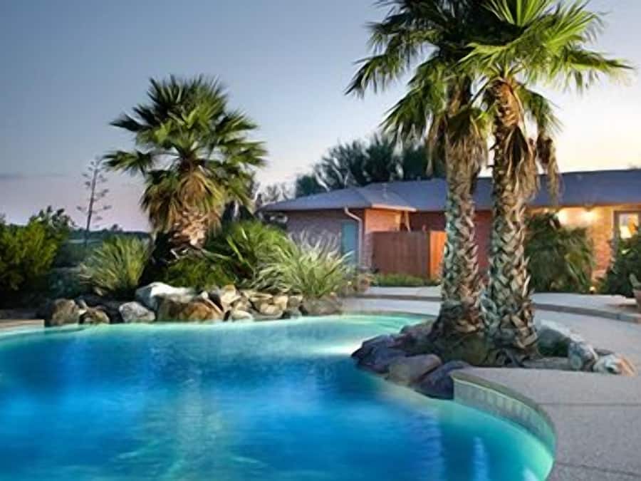 Outdoor pool, pool loungers