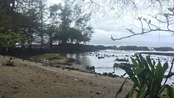 A beach with rocky shoreline, trees, and a view of the ocean.