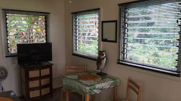 Flat-screen TV