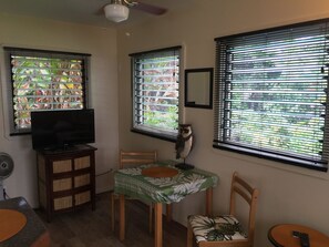 Flat-screen TV
