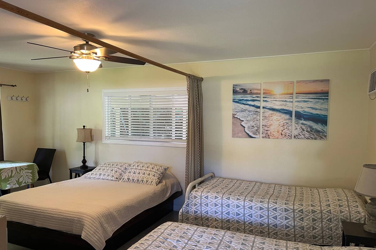 A bedroom with two beds, a ceiling fan, a window with blinds, and a wall with a painting.