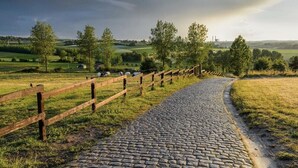 A cobblestone path leading through a rural landscape with a wooden fence and trees. - Horenbecca (Horebeke)