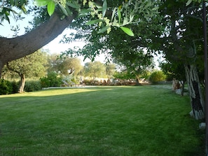 Garden - Masseria Sant'Angelo (Monopoli)