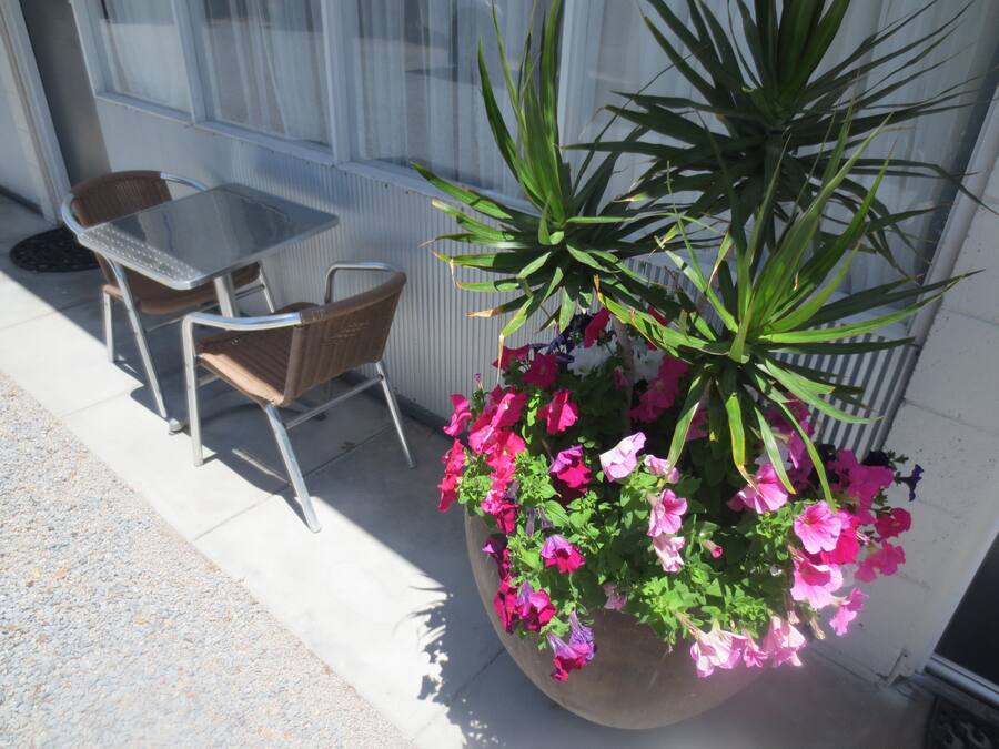 A patio area with a table and chairs, a large planter with pink flowers, and a building with windows in the background.