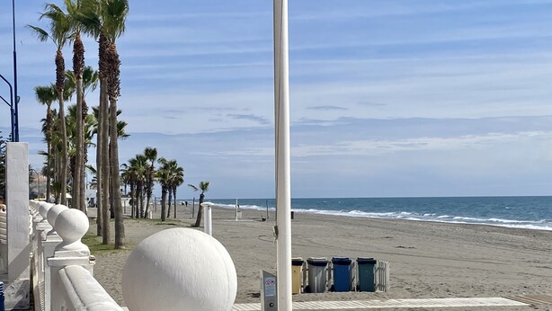 A beach with a white railing, palm trees, and a view of the ocean. - Hotel Costamar (Torrox)