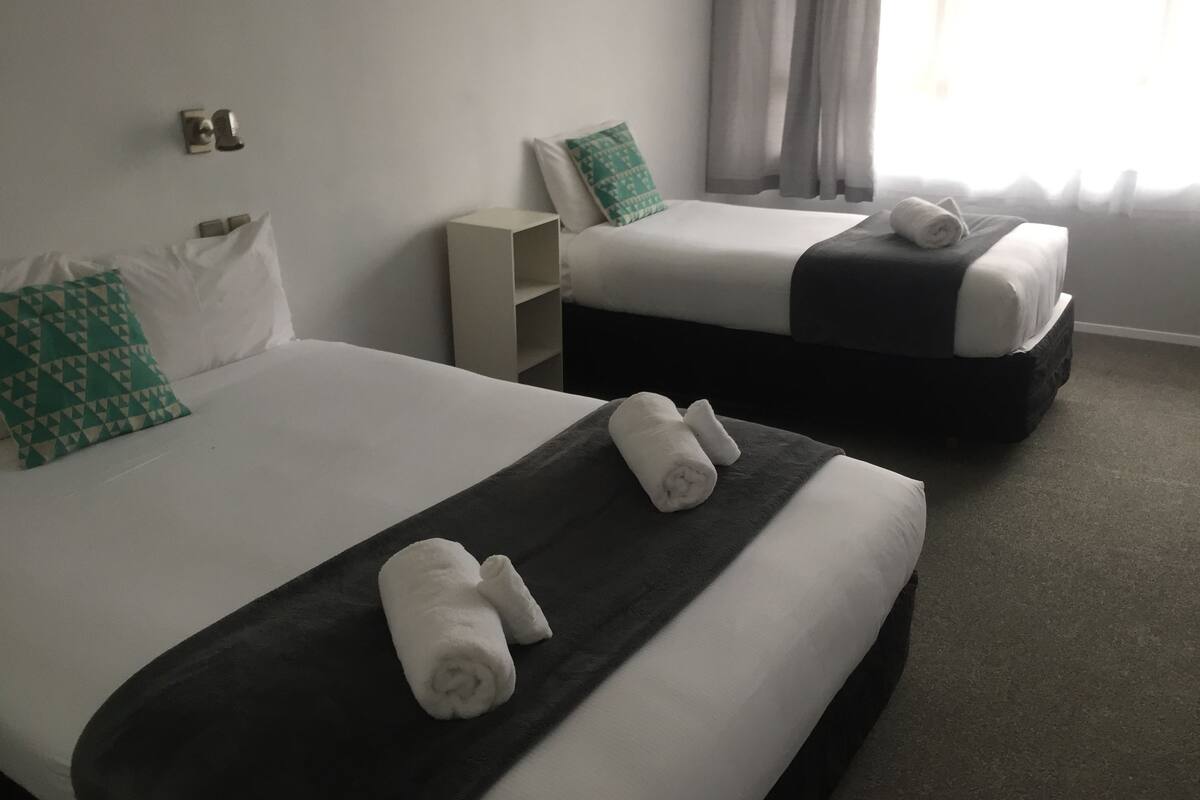 Two single beds with white linens and dark headboards, a small bedside table, and a green patterned pillow.
