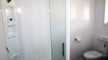 A bathroom with a glass-enclosed shower, a toilet, and a sink.