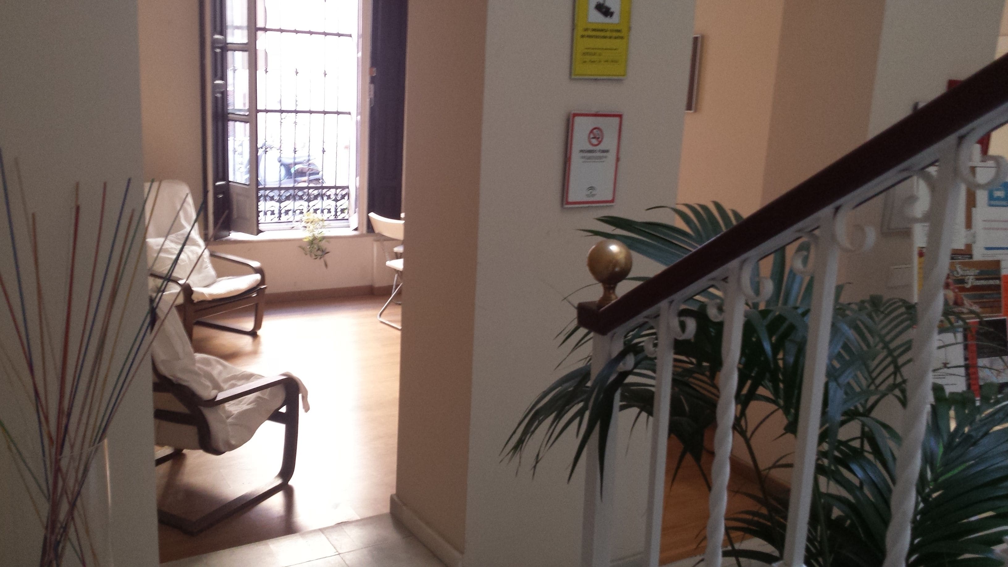 A staircase with a handrail, a chair, and a potted plant.
