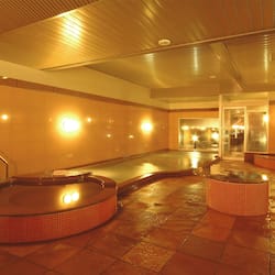 Public bath