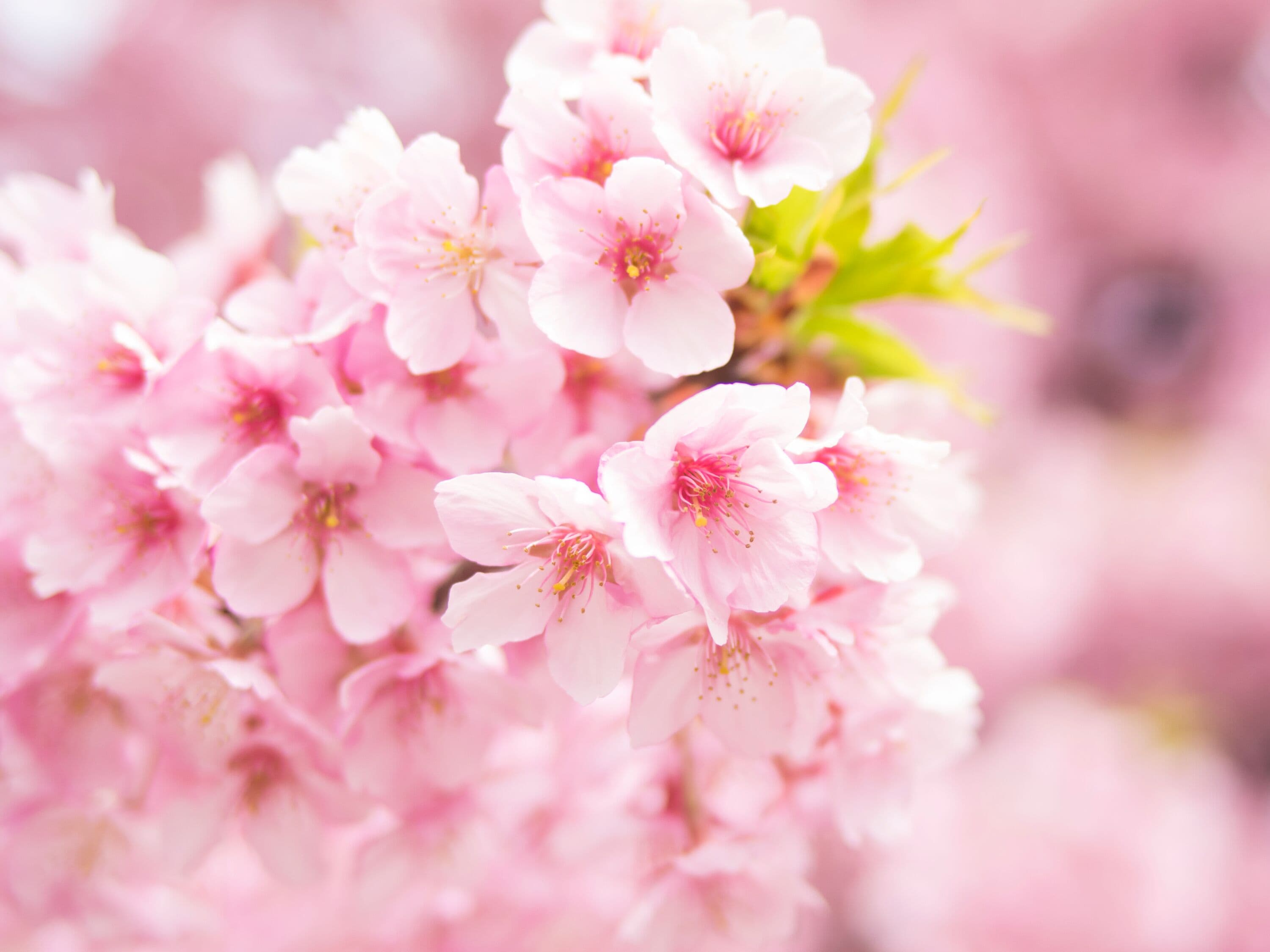 Foto - APA Hotel Akasaka Mitsuke