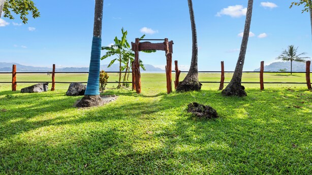 A grassy area with palm trees and a wooden structure. - Tambor Tropical - Adults Only (Cóbano)