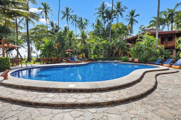 Outdoor pool, pool loungers
