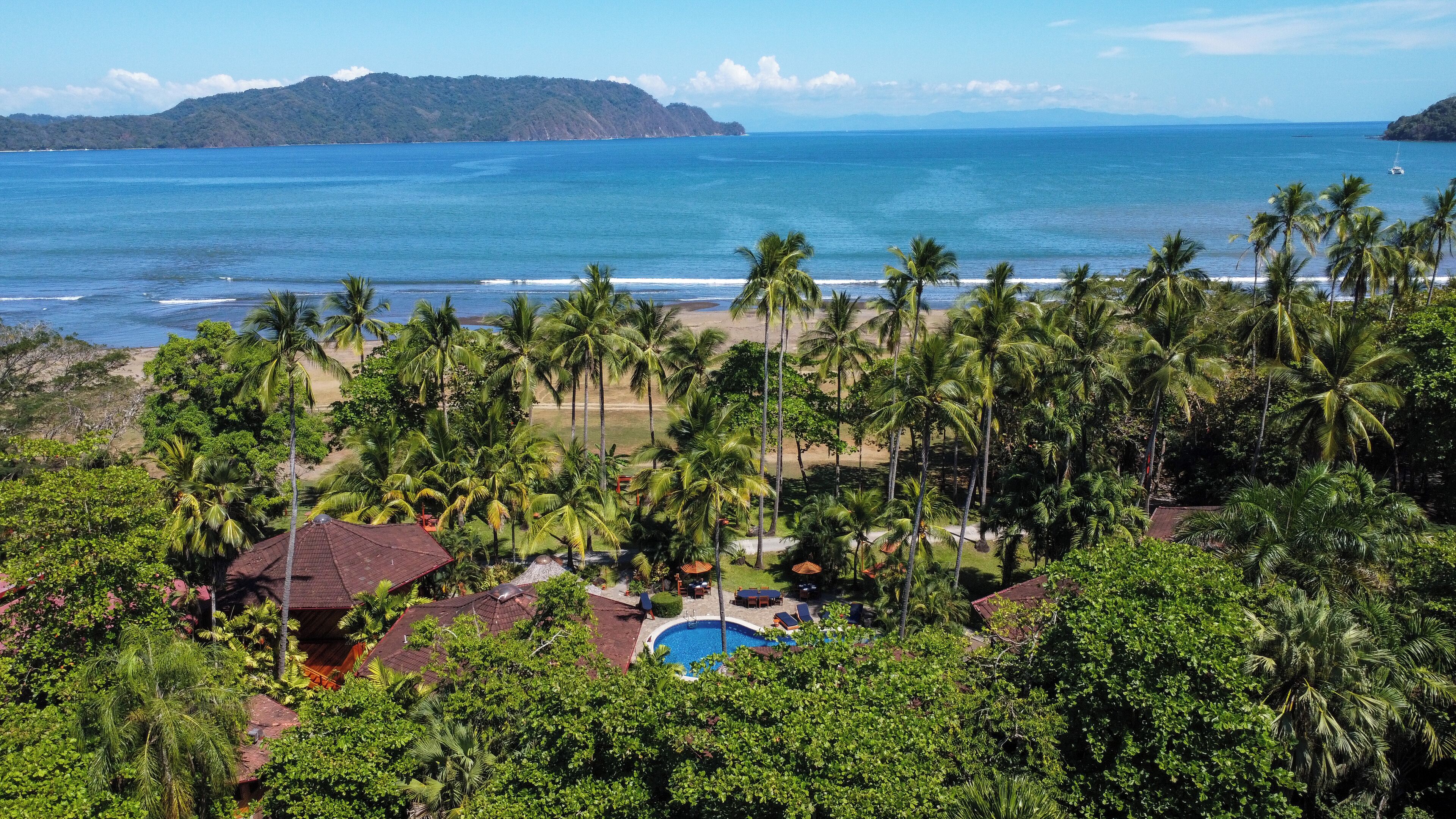 Un complexe hôtelier tropical doté d’une piscine, de palmiers et offrant une vue sur l’océan.