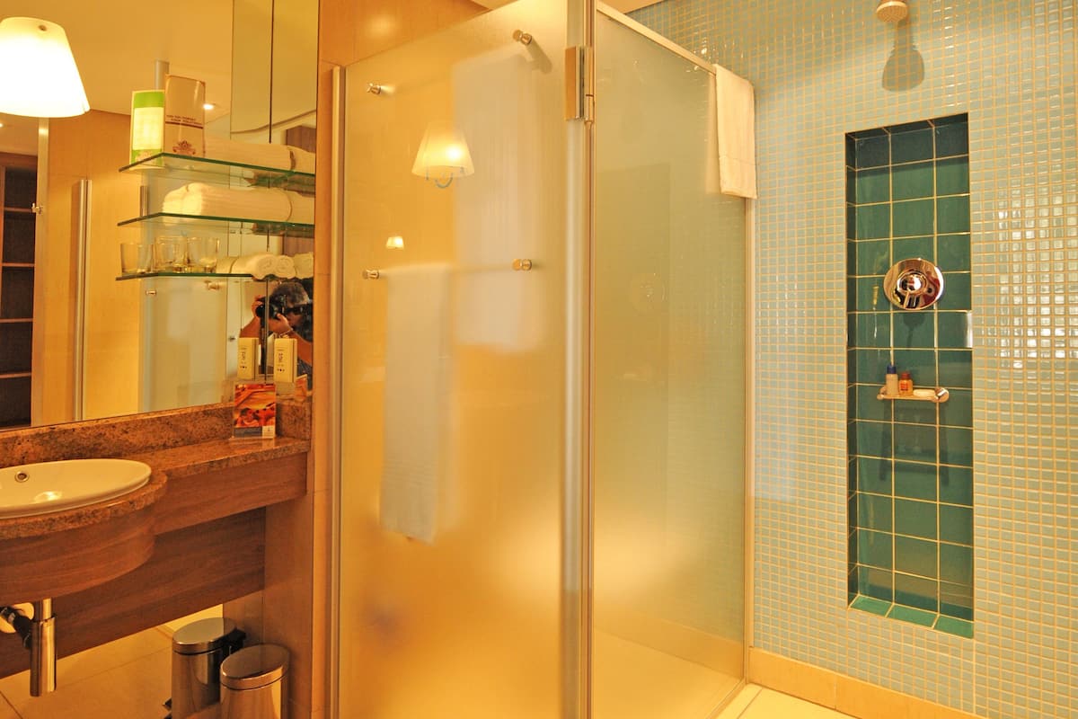 shower, free toiletries, hair dryer, towels