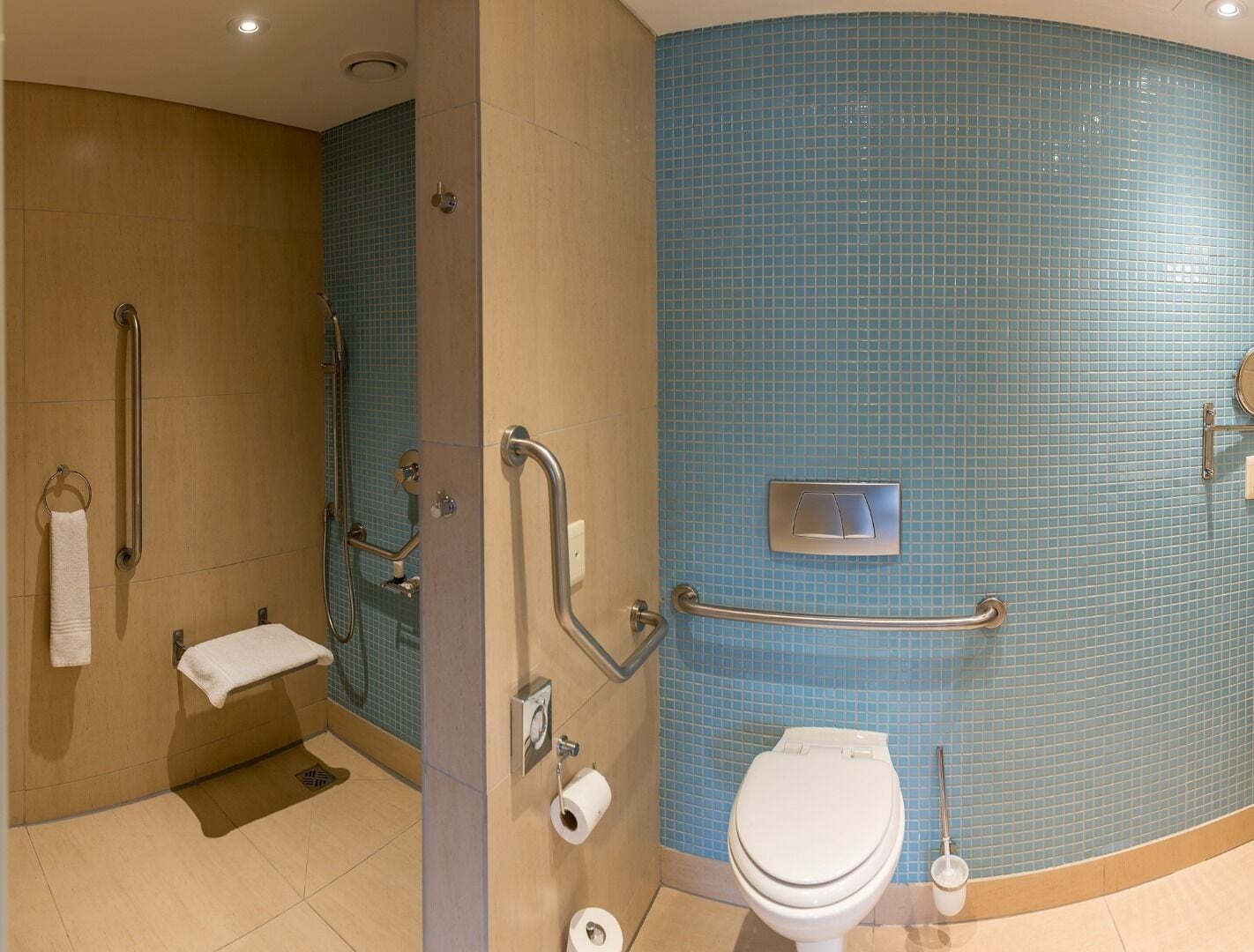 room, accessible (universal) | bathroom | shower, free toiletries, hair dryer, towels