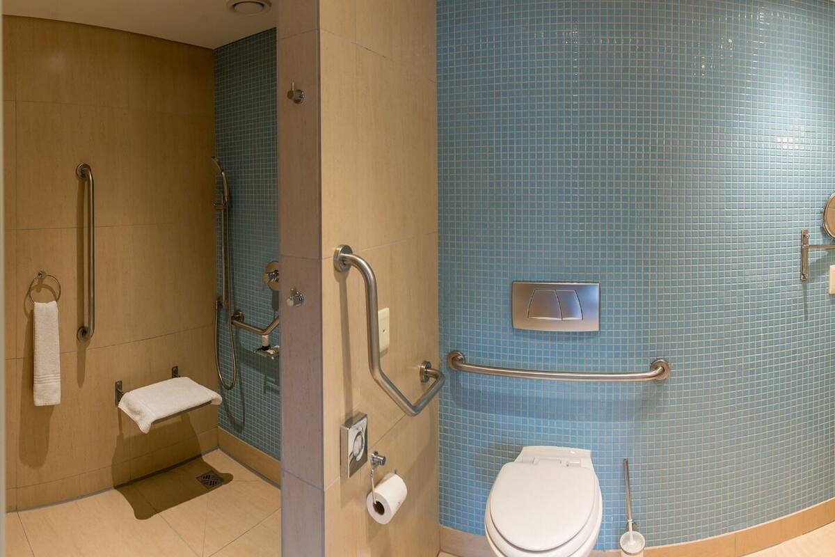 room, accessible (universal) | bathroom | shower, free toiletries, hair dryer, towels