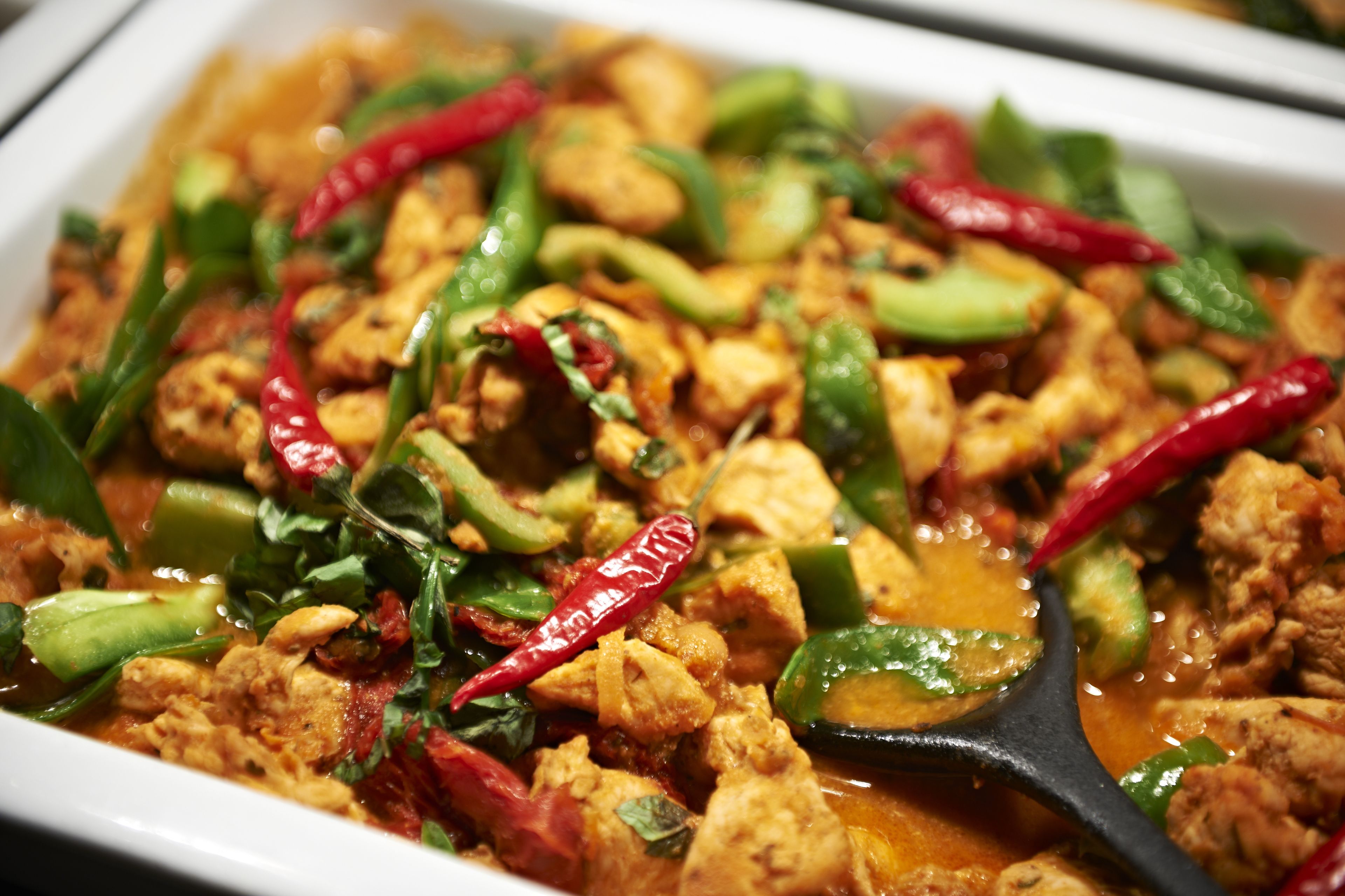 A dish with chicken, green and red peppers, and a black spoon.