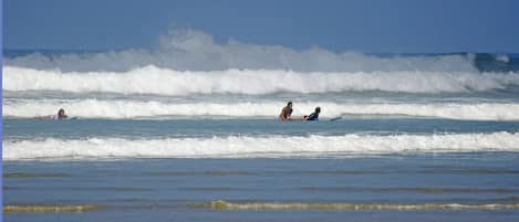 Escena de playa con olas y gente en el agua.