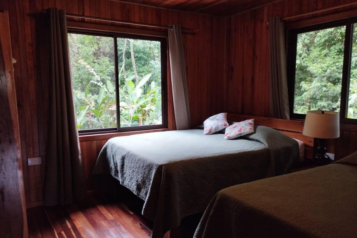 A room with two beds, wooden walls, and large windows with curtains.