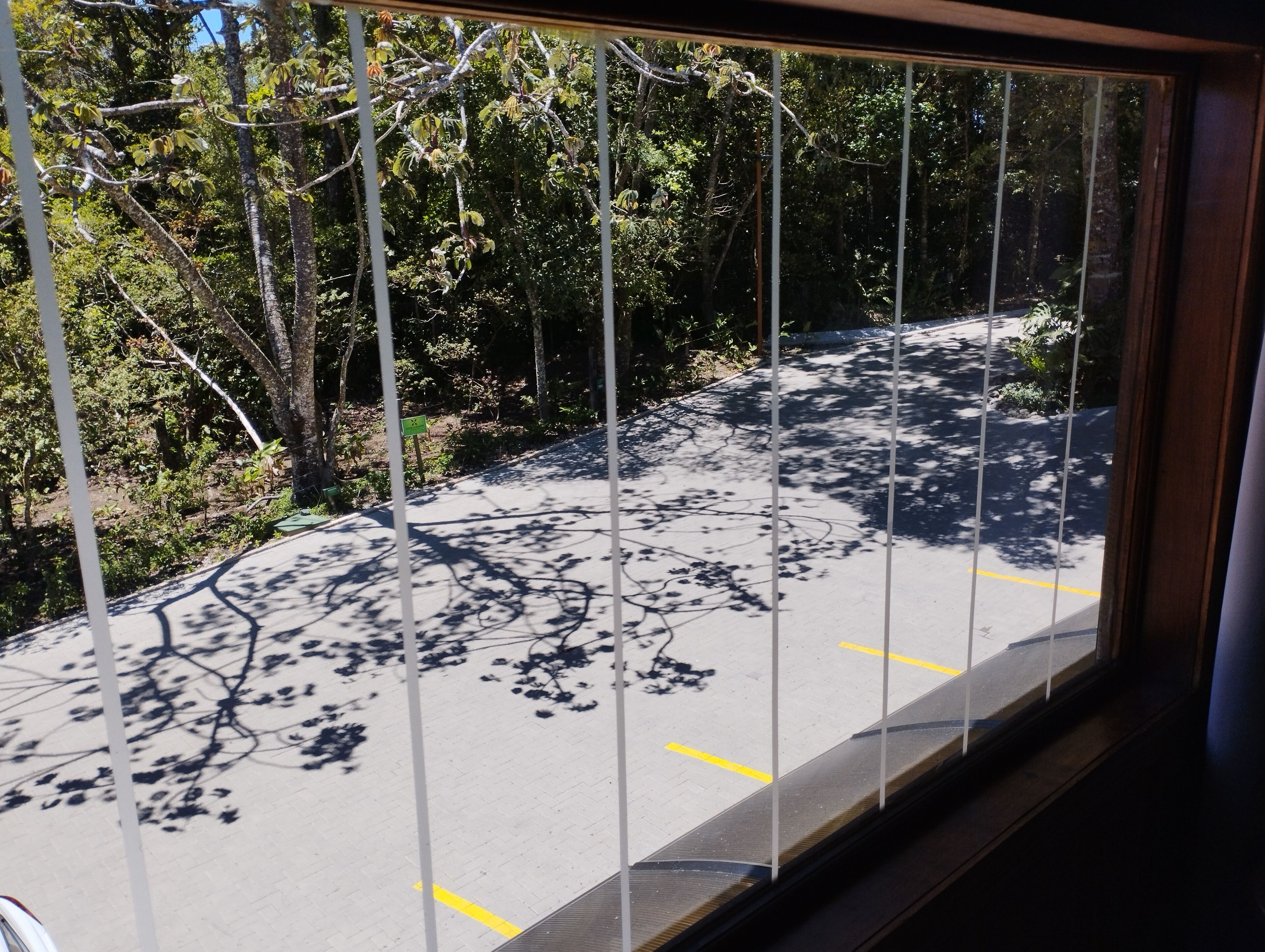 junior suite, 1 bedroom, courtyard view, tower | 1 bedroom, premium bedding, down duvets, tempur-pedic beds