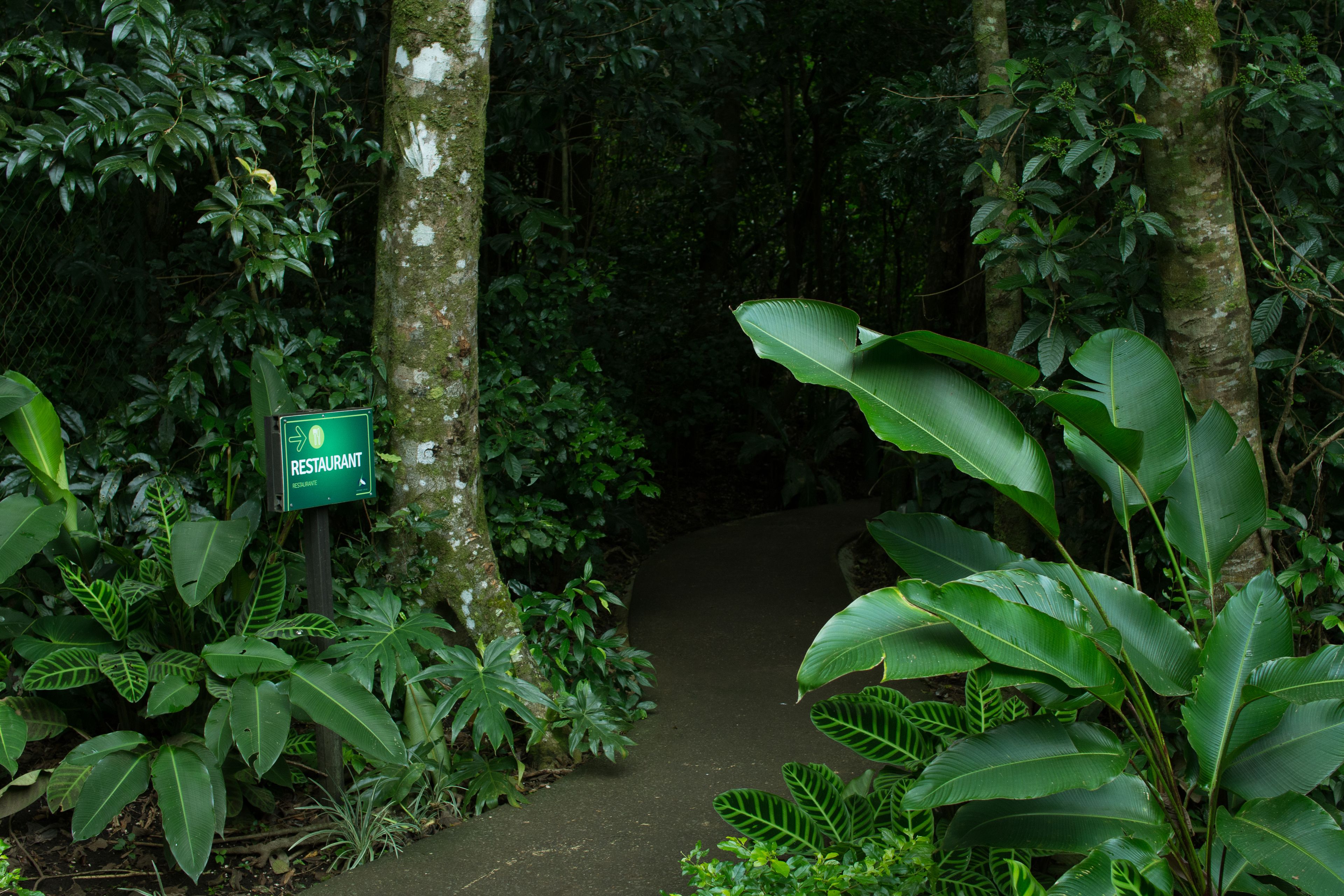 Un sentier qui traverse une forêt dense, avec un panneau indiquant la direction d’un restaurant.
